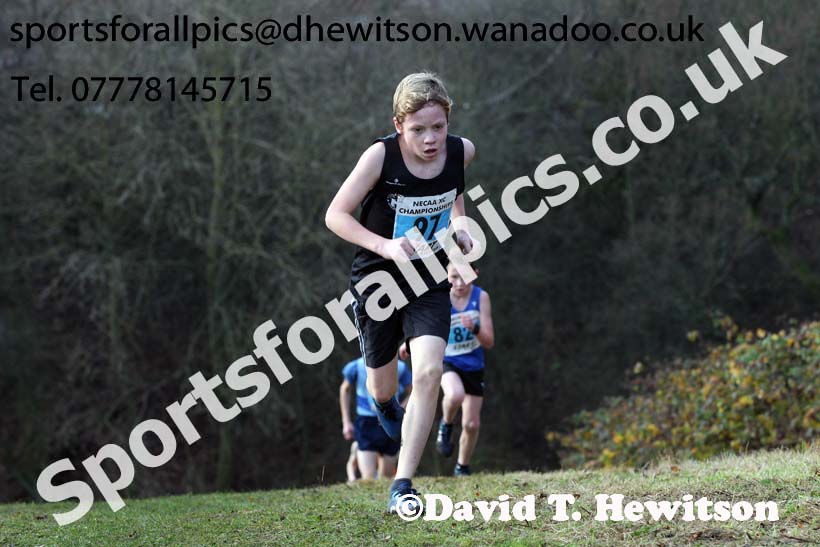Boys under-13s North Eastern Cross Country, Aykley Heads, Durham. Photo: David T. Hewitson/Sports for All Pics